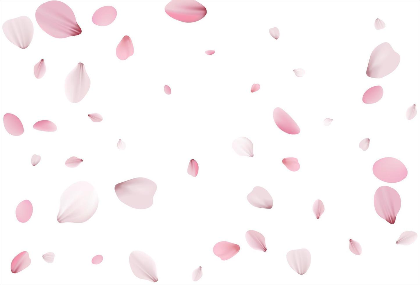 Cherry background, sakura vector background