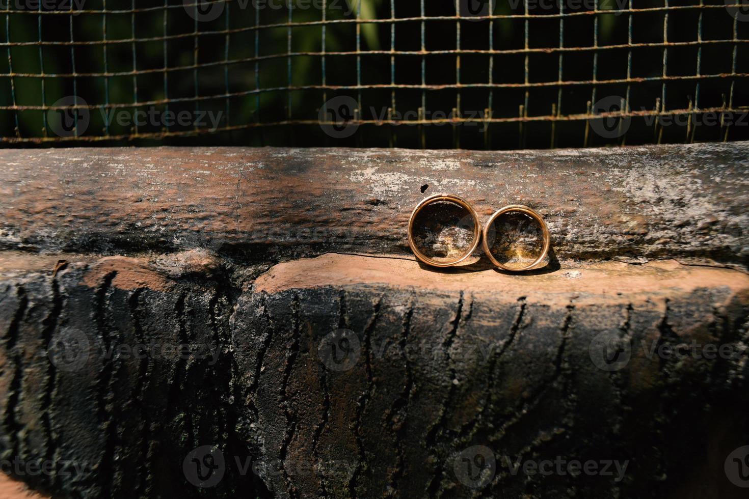 un par de anillos de boda en madera foto
