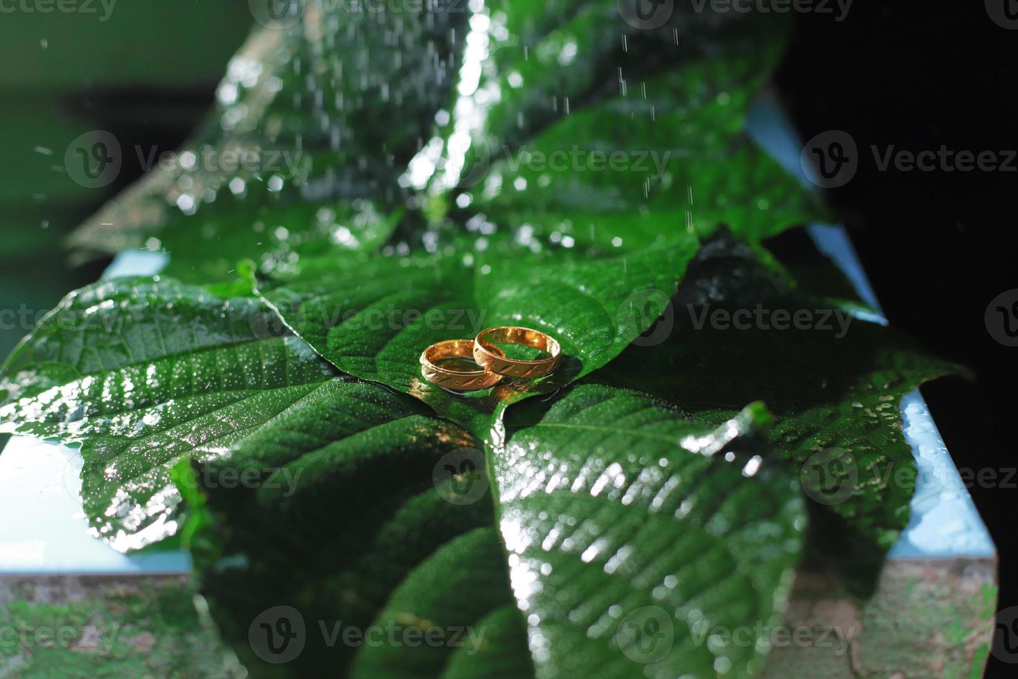 un par de anillos de boda en hoja verde foto