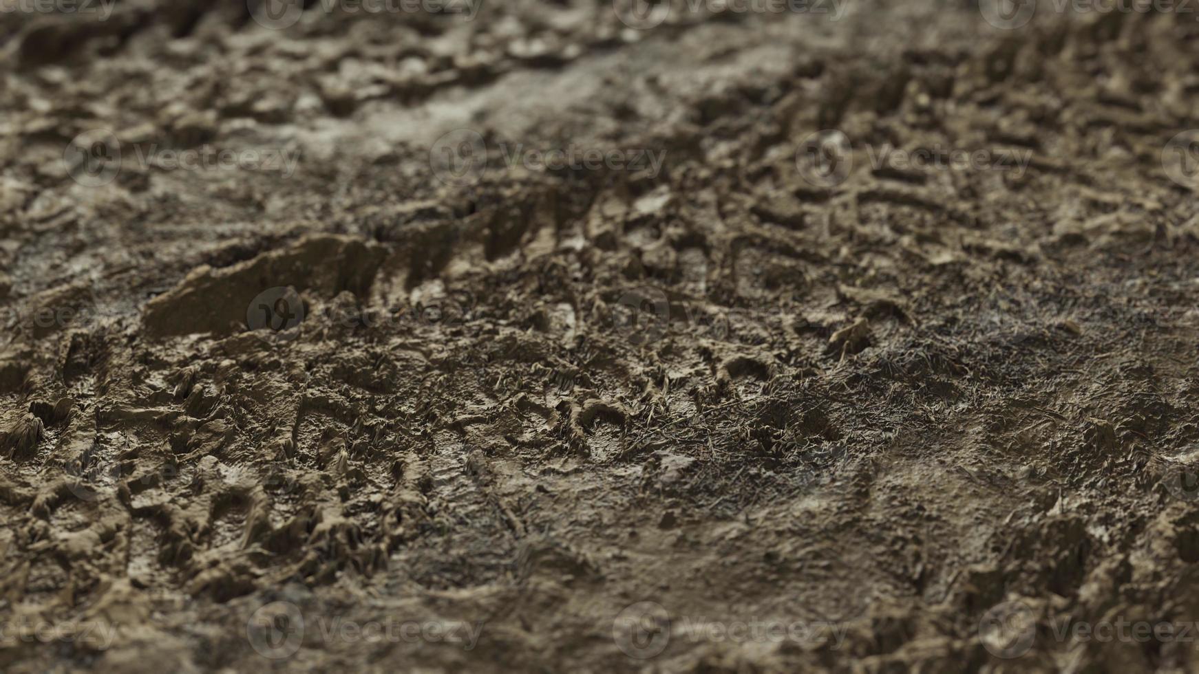 8k wheel tracks on rough road photo