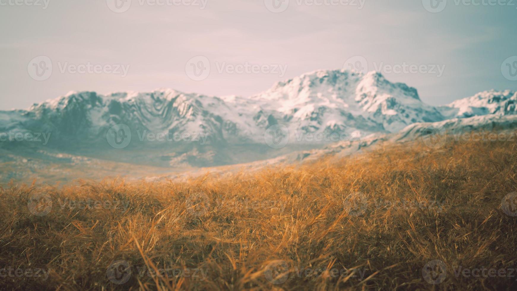 dry grass and snow covered mountains in Alaska photo