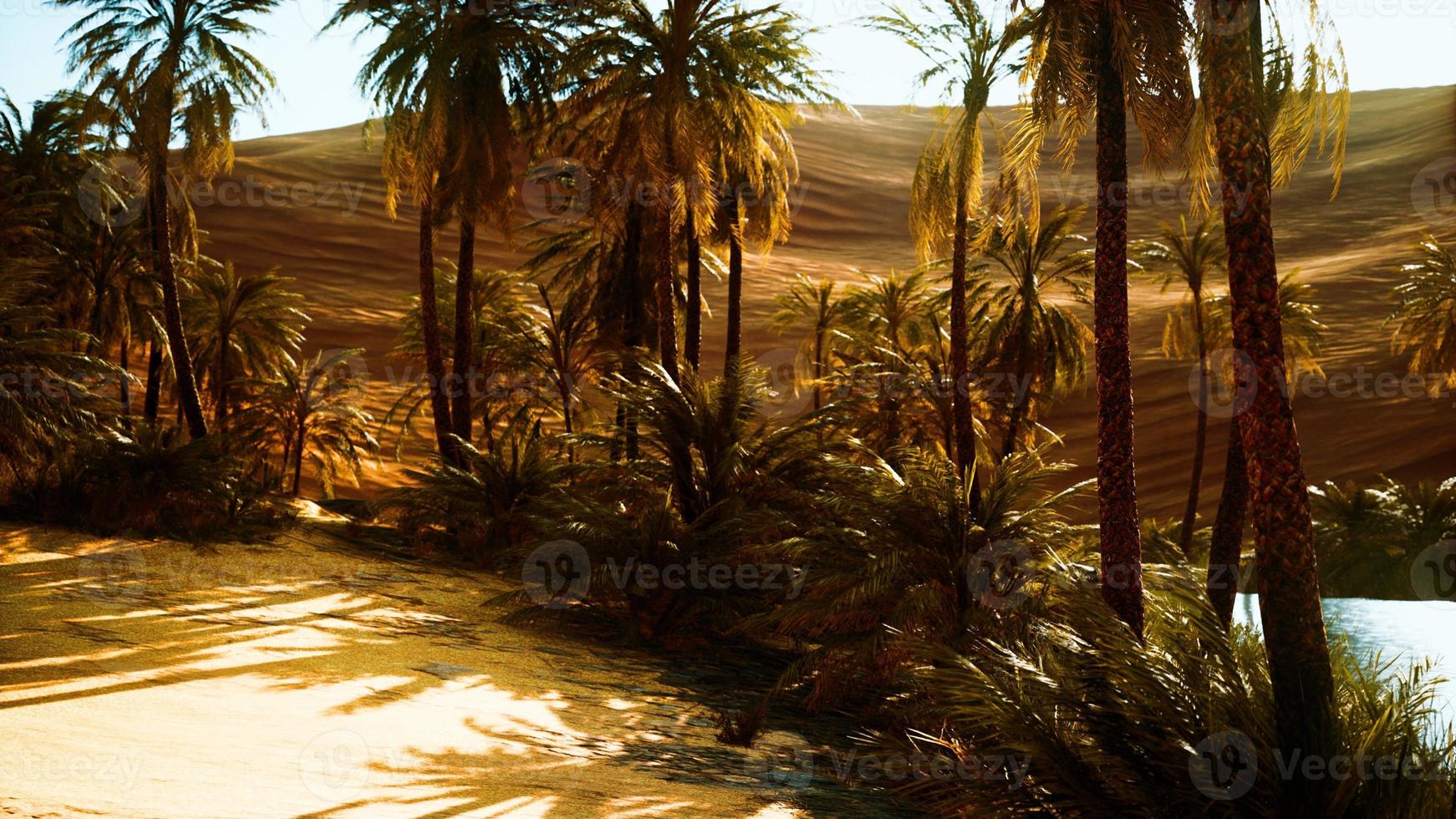 Oasis in hot Sahara Desert photo