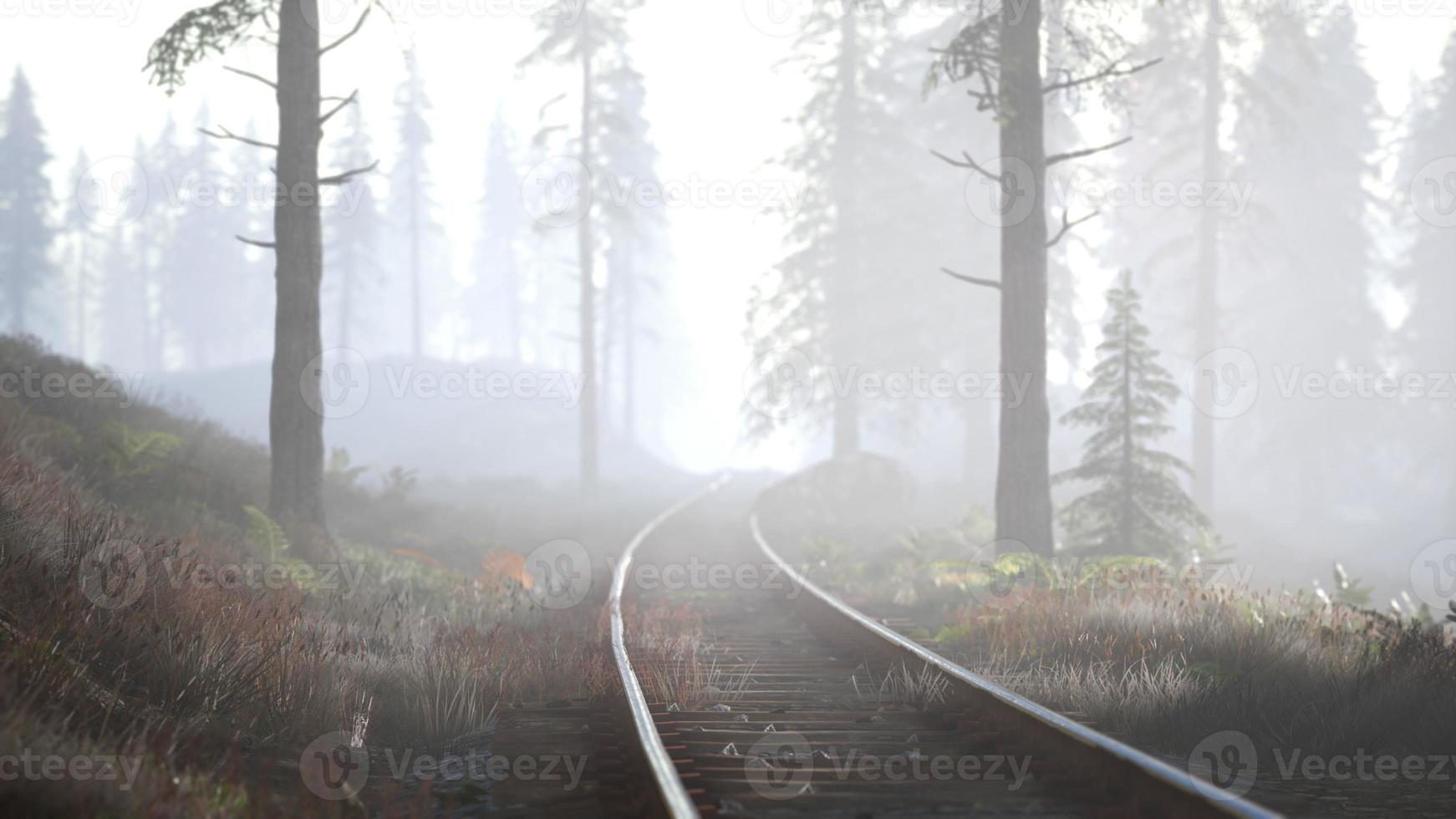 empty railway goes through foggy forest in morning photo