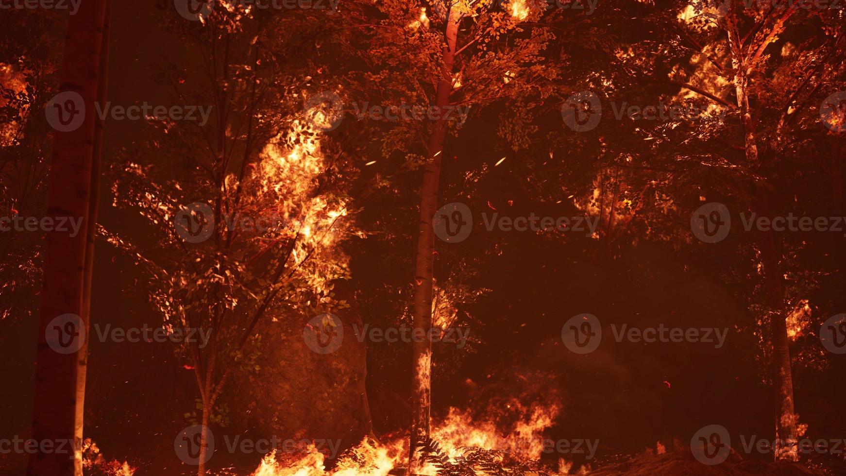 grandes llamas de incendio forestal en la noche foto