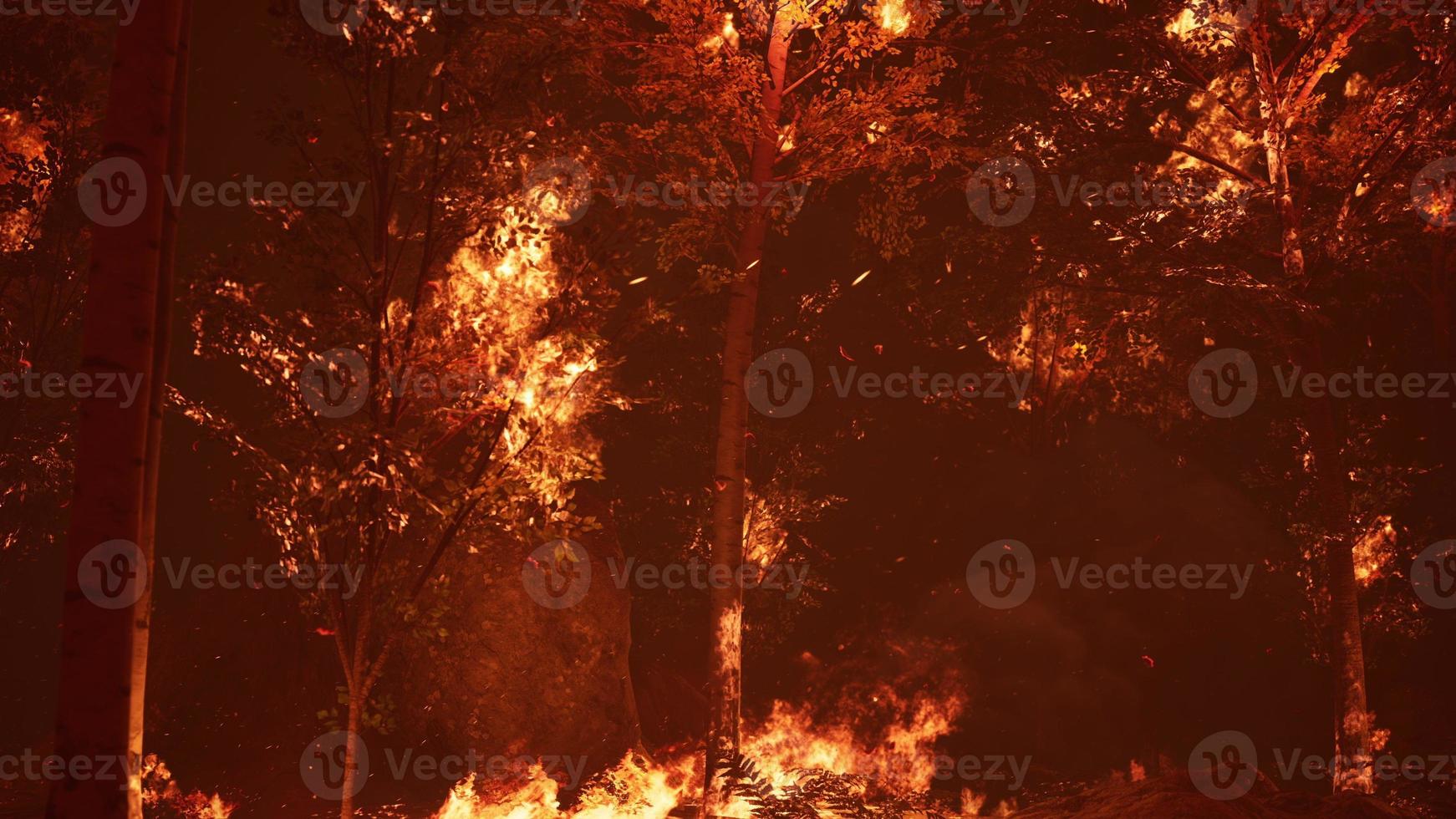 large flames of forest fire at night photo