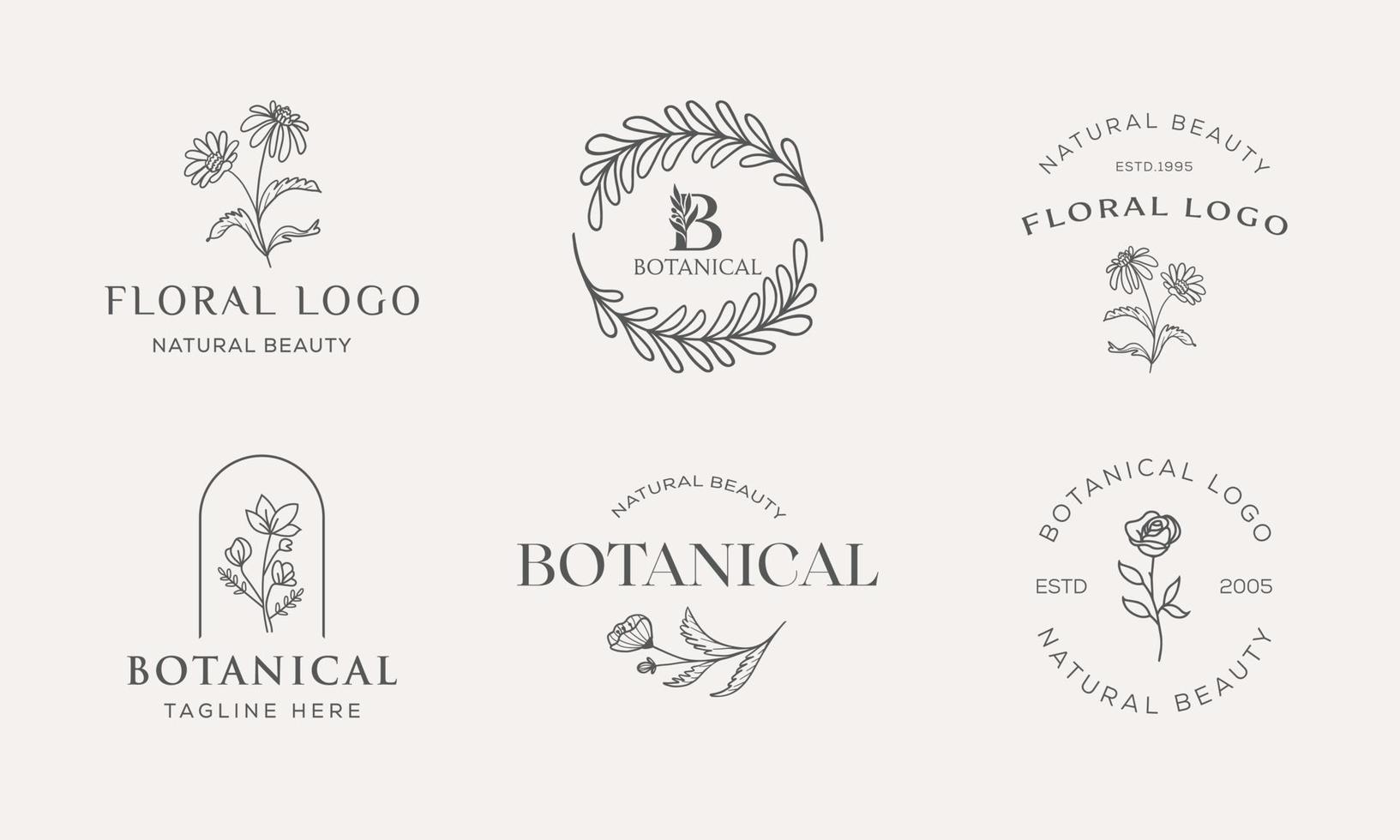 Set of Botanical Floral element Hand Drawn Logo with Wild Flower and Leaves. Logo for spa and beauty salon, boutique, organic shop, wedding, floral designer, interior, photography, cosmetic. vector