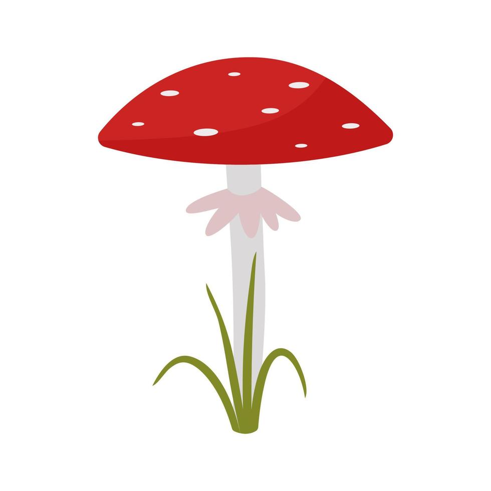 Fly agaric, a poisonous mushroom, red in color with a white dot. Vector illustration isolated.