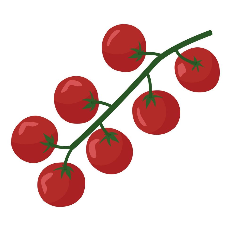 tomates cherry en una rama. vector. en el estilo de dibujo a mano. vector