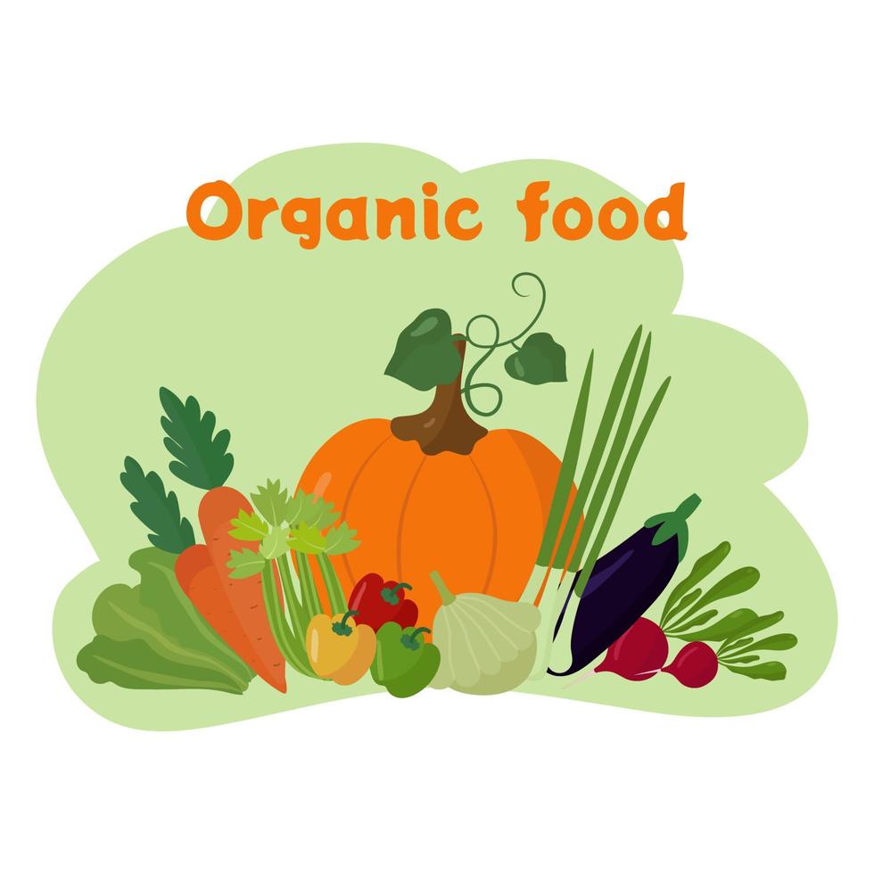 Organic vegetables, healthy food. Poster, banner, background. Lettuce, carrot, pumpkin, pepper, eggplant, radish, onion. Vector illustration for printing on paper, fabric, website use