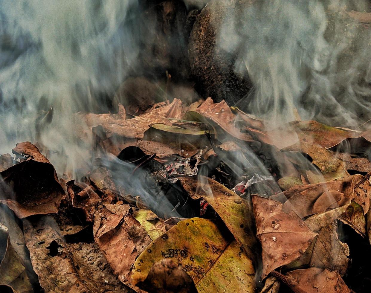 montones de hojas secas quemadas emiten humo foto