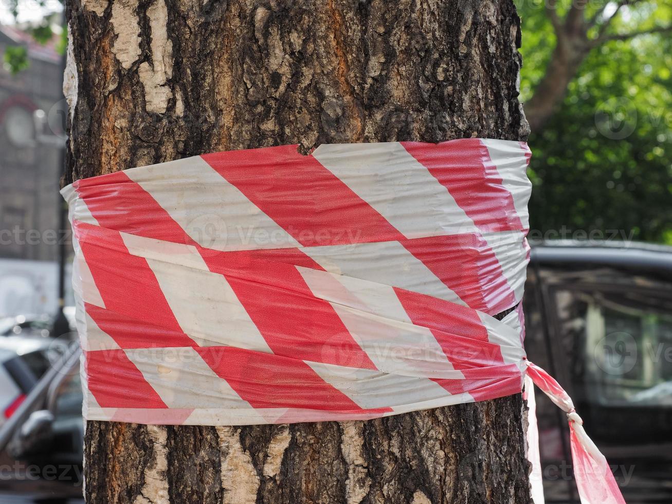 tree trunk with barricade tape photo