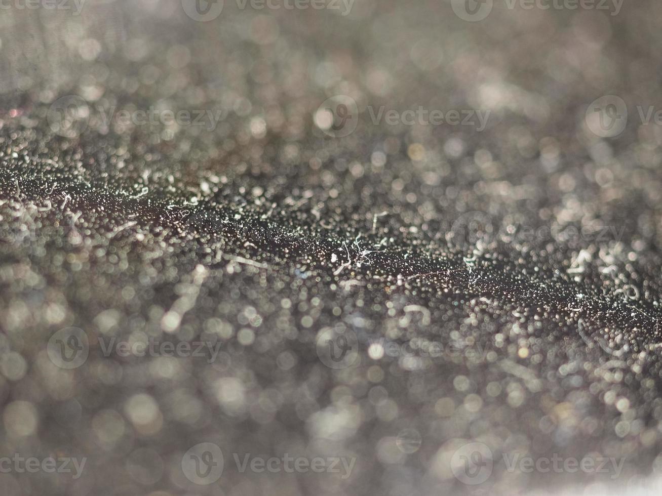 dust particles macro view photo