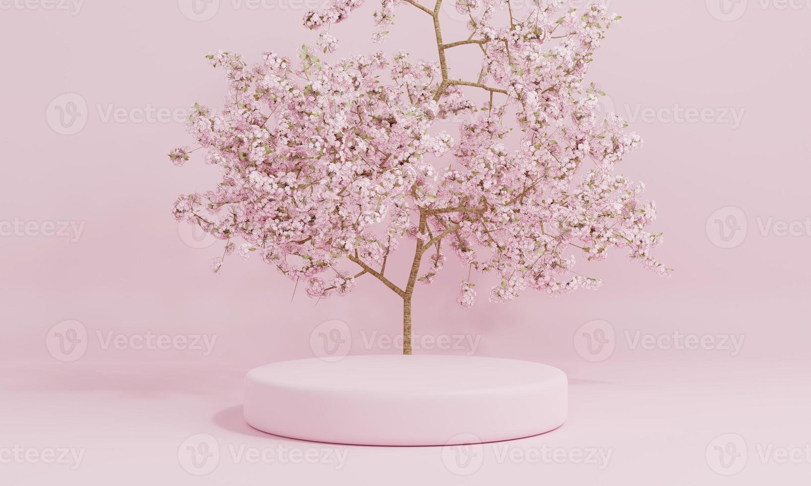 Minimal style cylinder pink product podium showcase with cherry blossom tree or Sakura in Japanese language at public garden. Technology and object concept . 3D illustration rendering photo