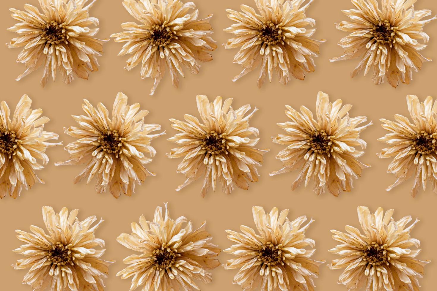 Floral pattern made of rose flowers, top view. photo