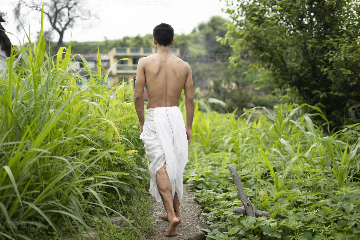 joven indio en forma, caminando por un camino al lado de los cultivos en el campo. un sacerdote indio caminando vestido con un dhoti blanco. hombre religioso indio. foto