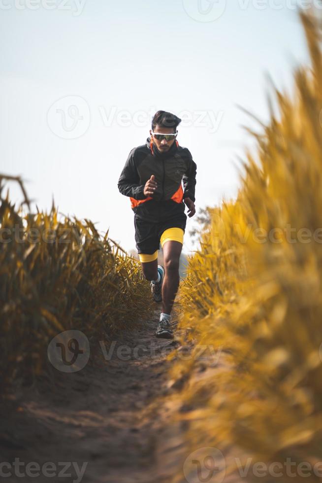 joven jugador de críquet indio entrando en el campo de críquet. concepto indio de cricket y deportes. foto