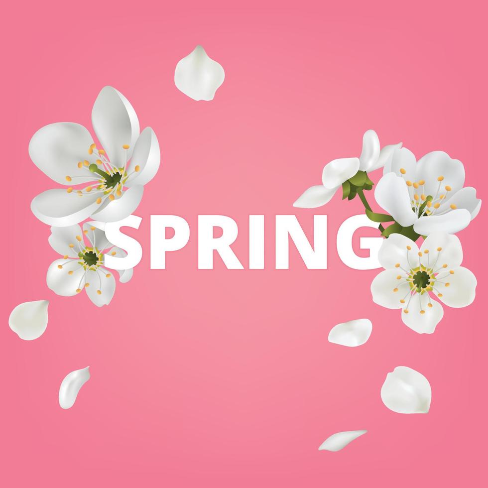 Vector greeting card template with flowers blossoms. Cherry flower spring banner blooming sakura on the pink background.
