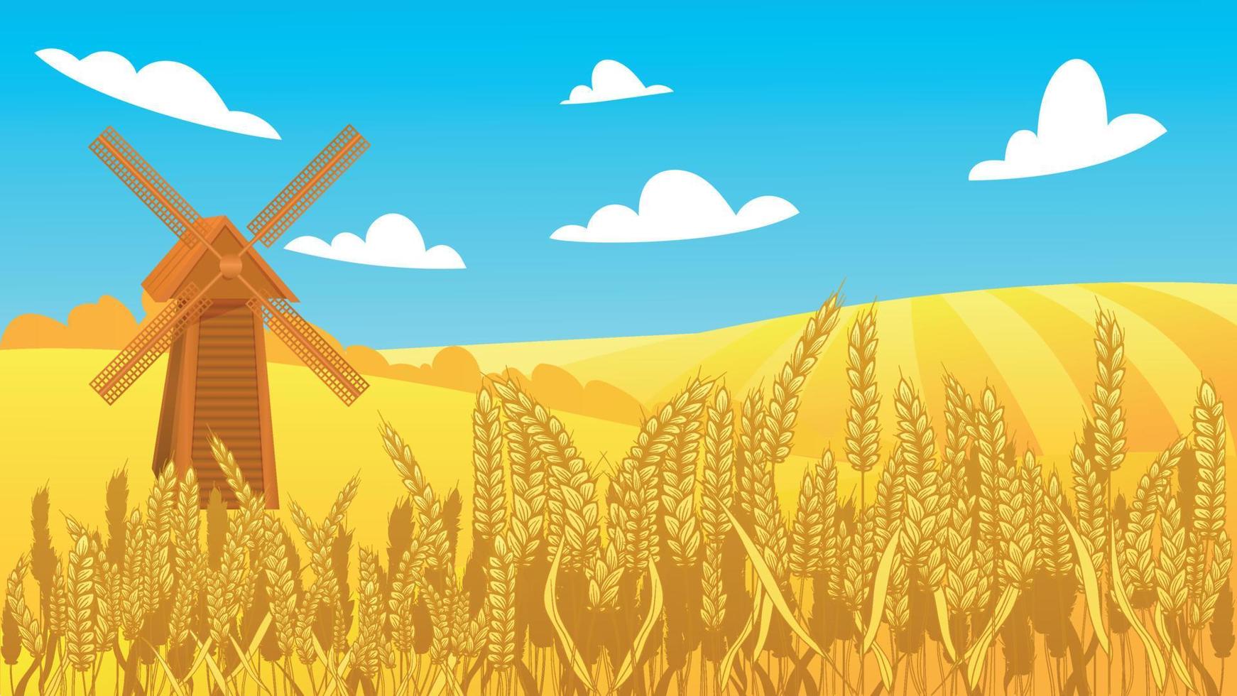 Rural autumn landscape with windmill, blue sky and yellow wheat field with spikelet of rye. vector
