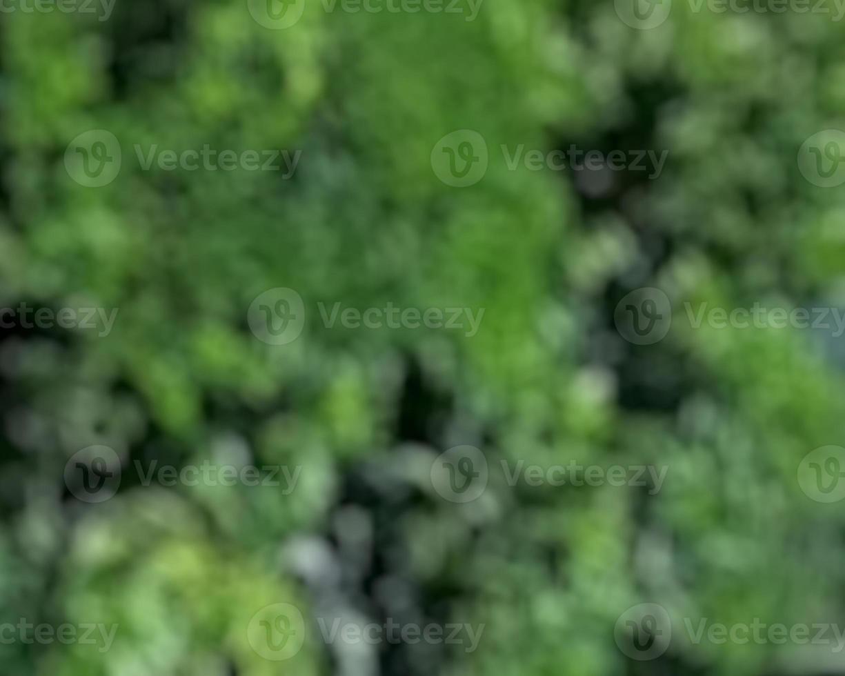abstract green blur background photo