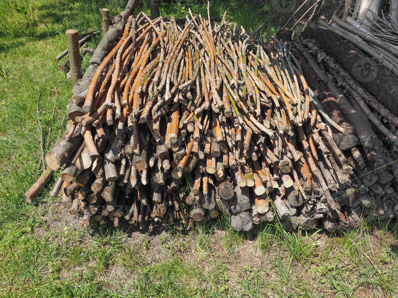 a faggot of wood sticks photo