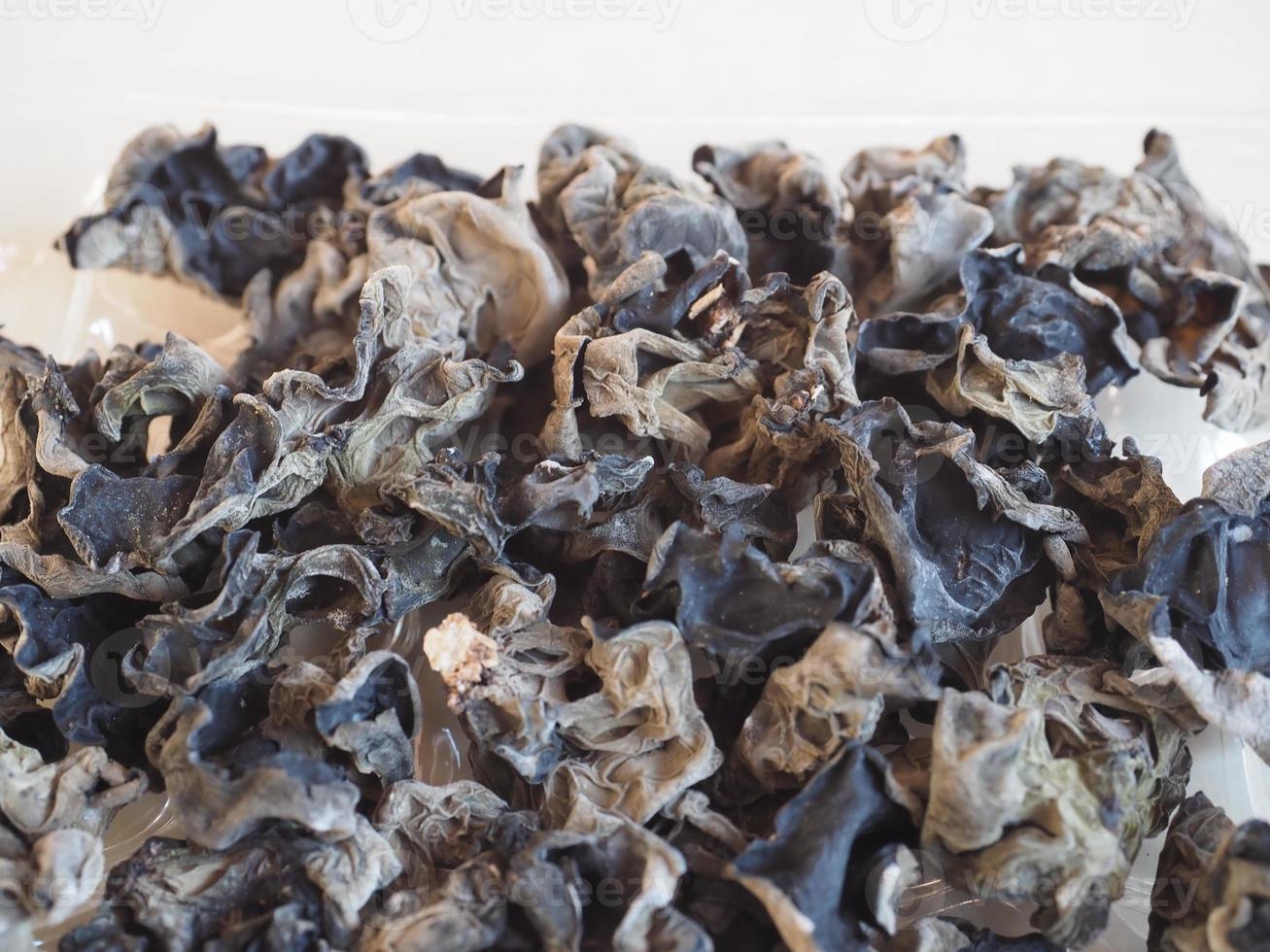 Chinese black fungus Auricularia auricula judae mushroom veget photo