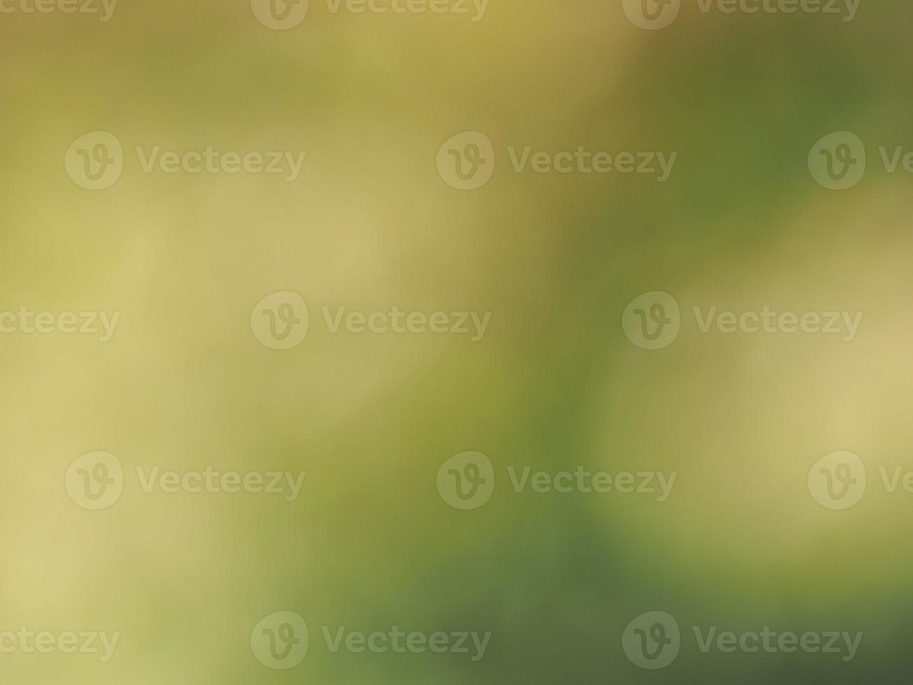 abstract green blur background photo
