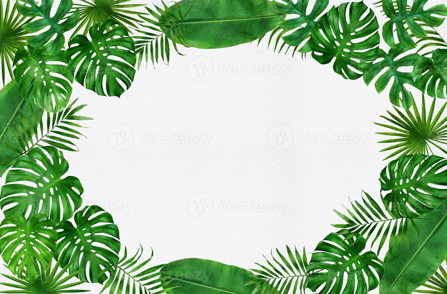 frame of tropical leaves watercolor photo