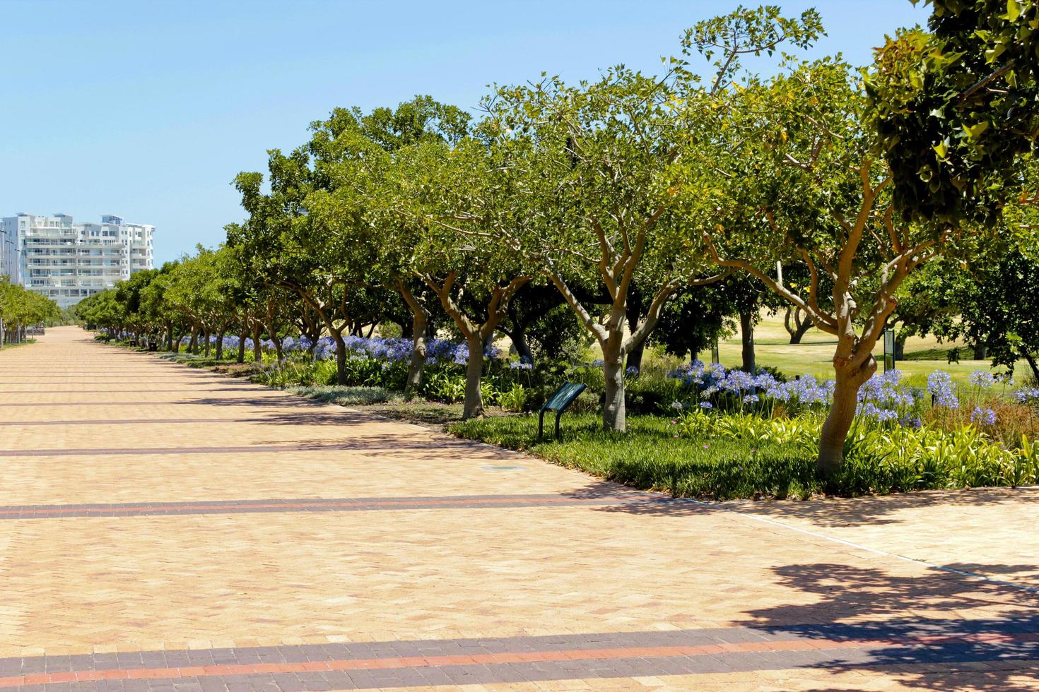 Entrance or path to Green Point Park in Cape Town. photo