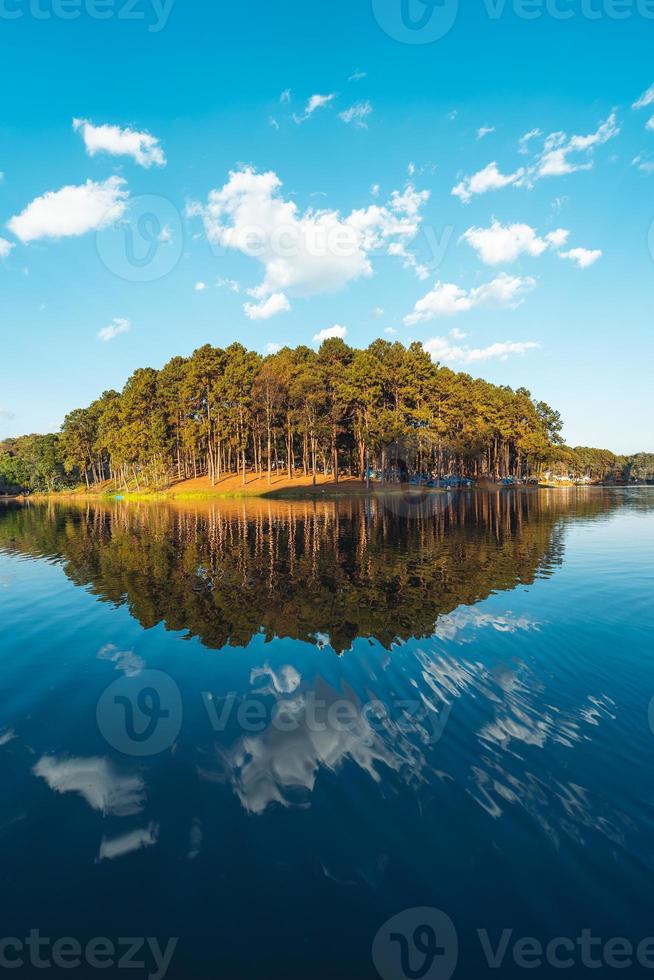 naturaleza lago y bosque ubicación para acampar foto