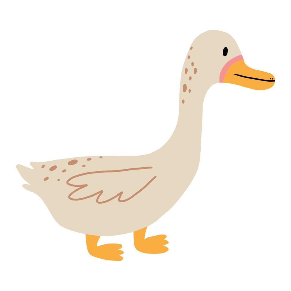 Vector illustration of a cute duck. Domestic duck isolated on white background. Childrens style.