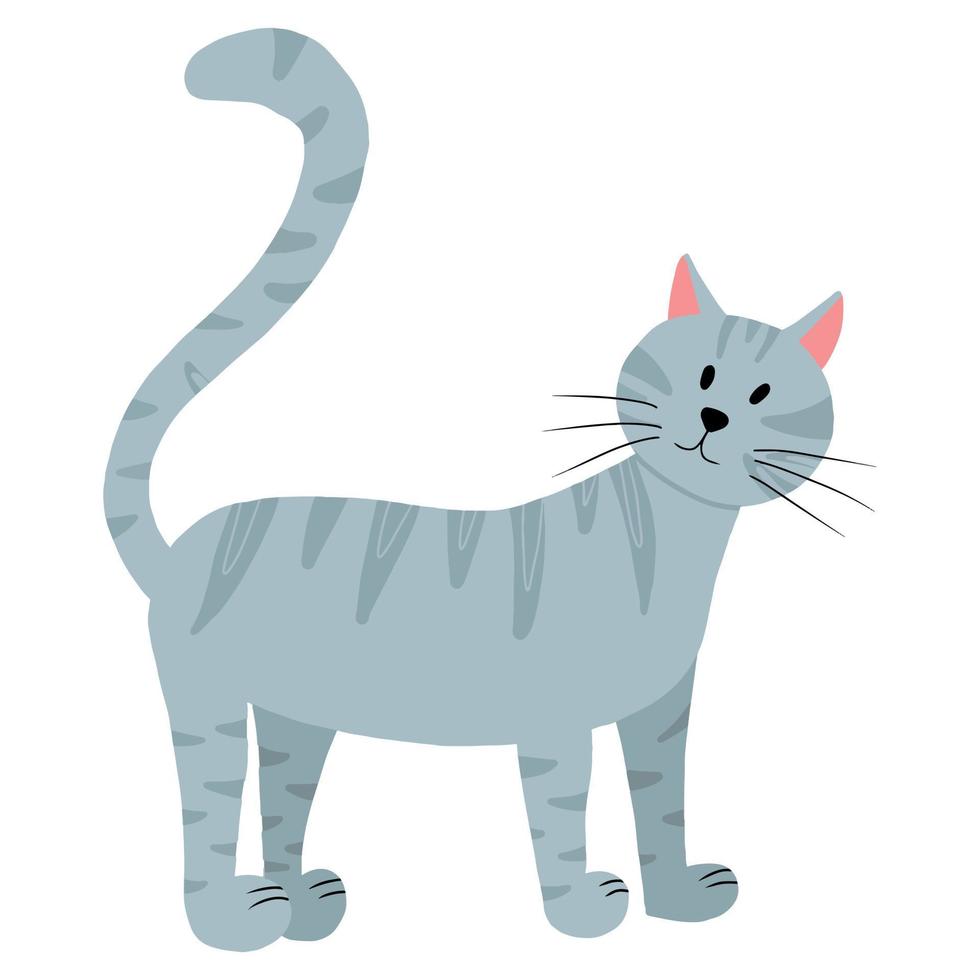 Vector illustration of a gray tabby cat. Cute cat isolated on a white background. Pets.