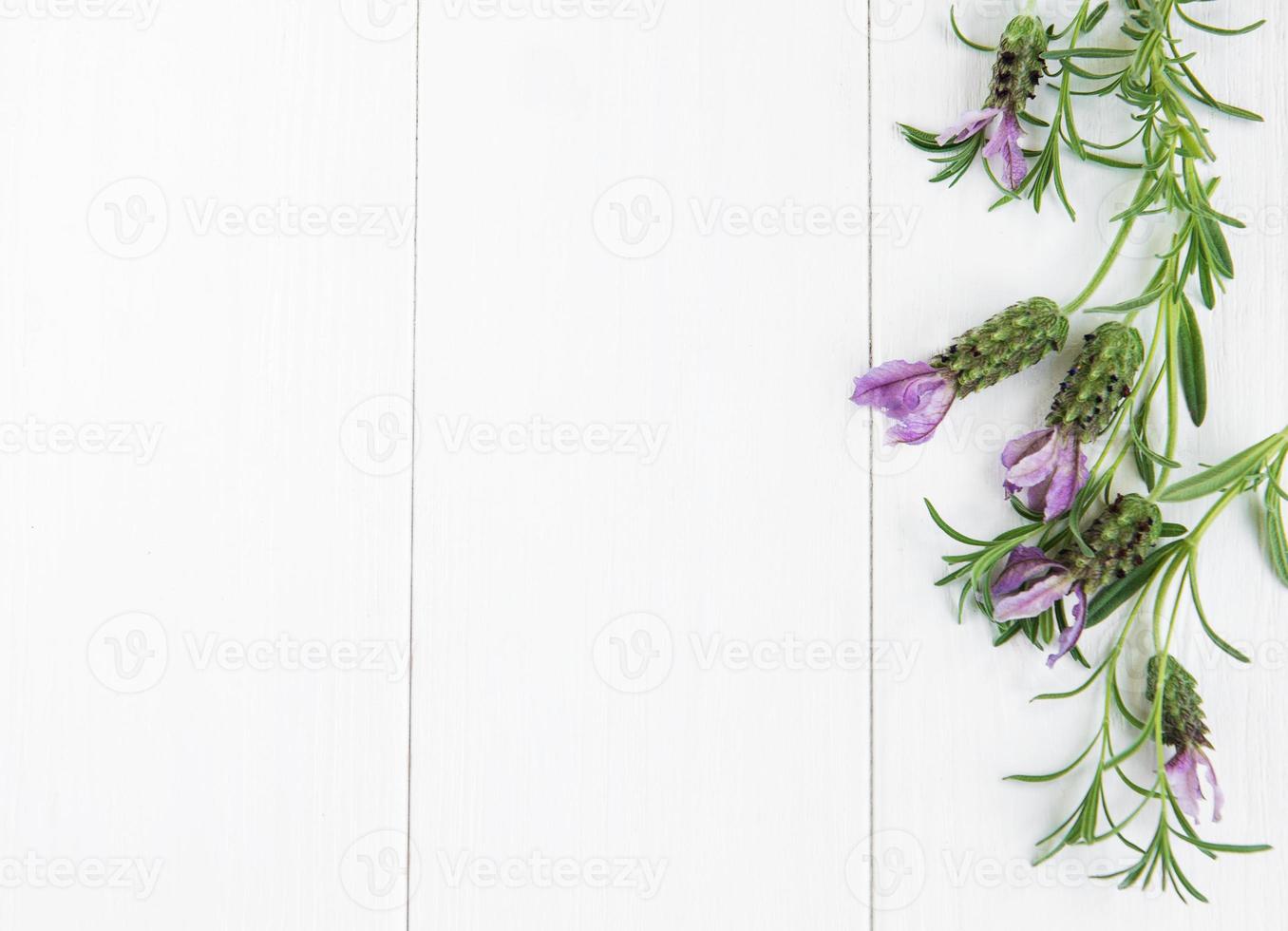 lavanda española sobre una mesa foto