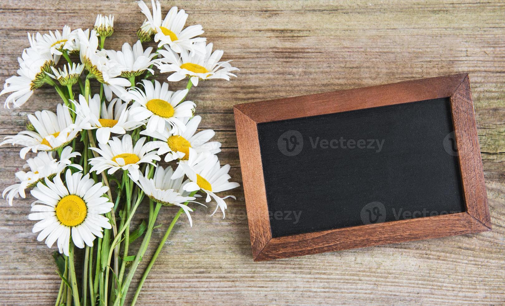 blank blackboard with chamomile flowers photo