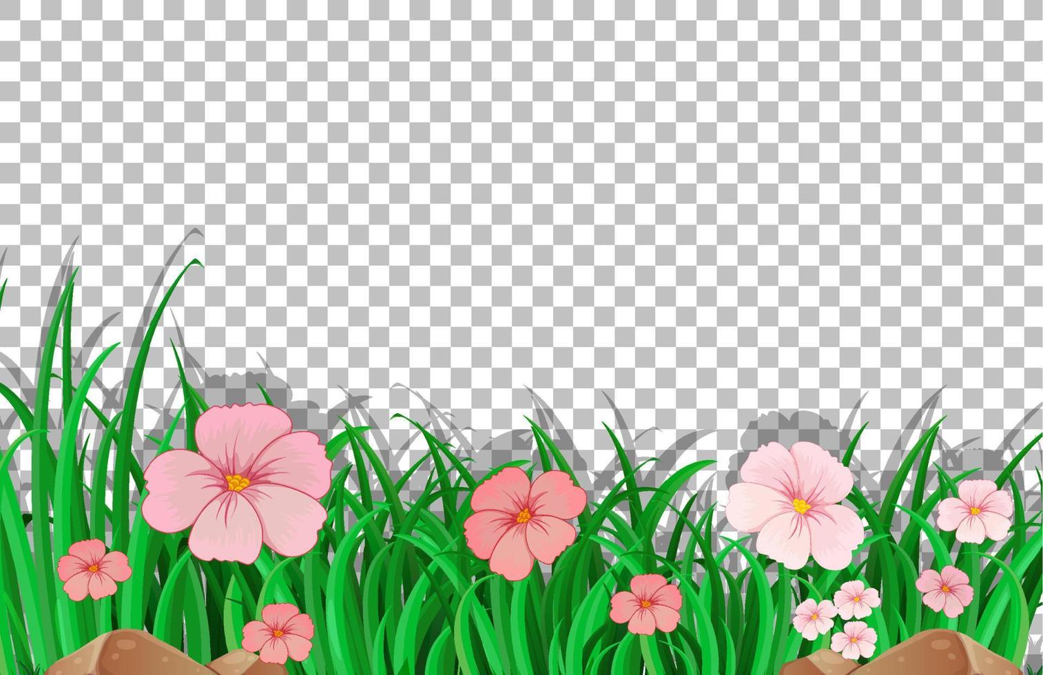 Pink flower field template on transparent background vector