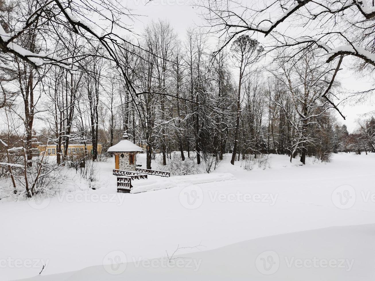 invierno en el parque pavlovsky nieve blanca y árboles fríos foto