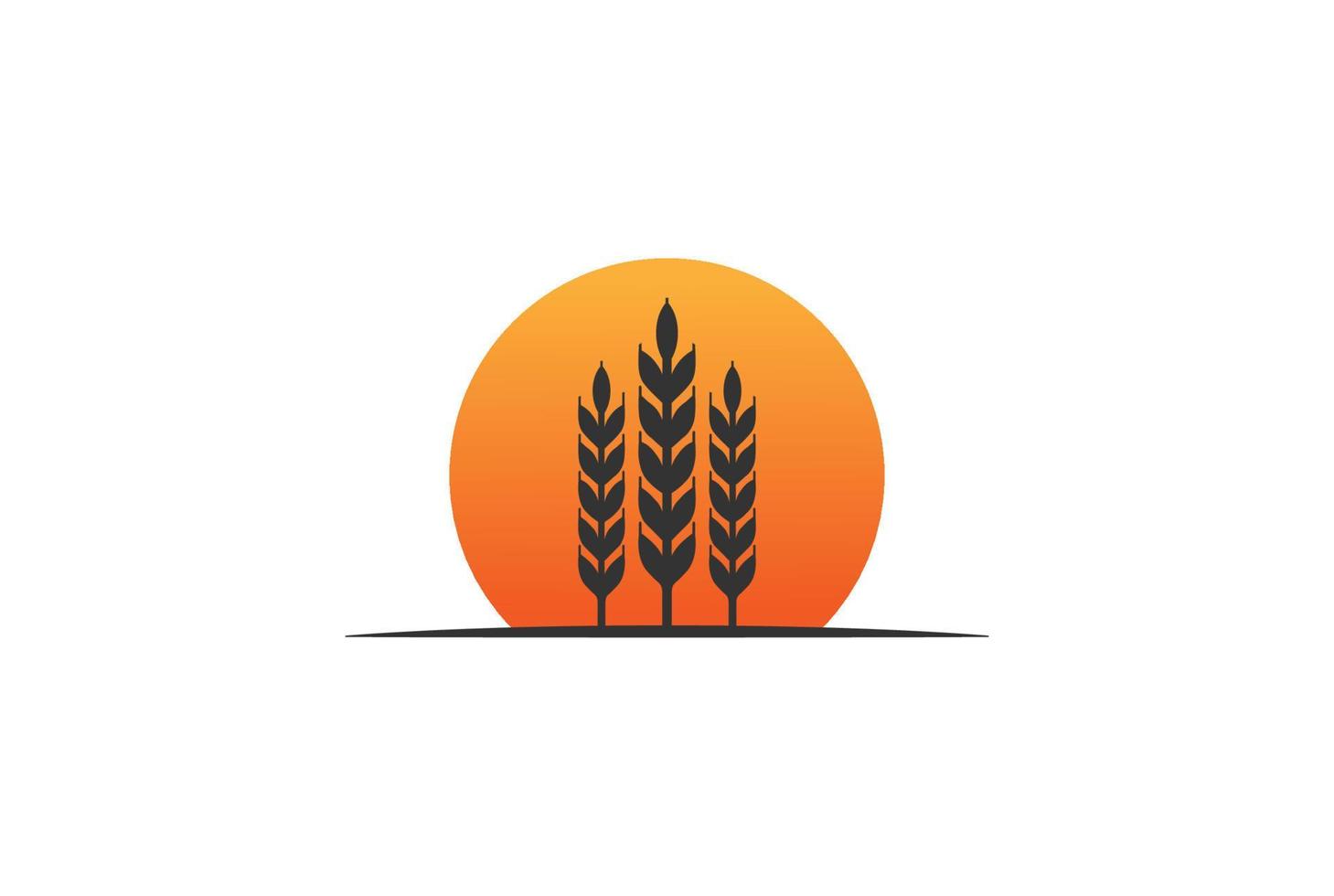 puesta de sol amanecer grano trigo arroz hierba para panadería o cervecería vector de diseño de logotipo