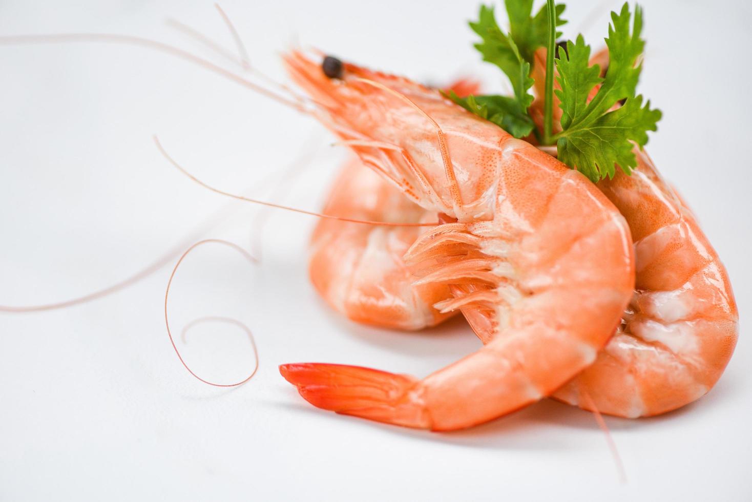 fresh shrimp on white plate with ingredients coriander cooking seafood shrimps prawns served white background close up shrimp photo