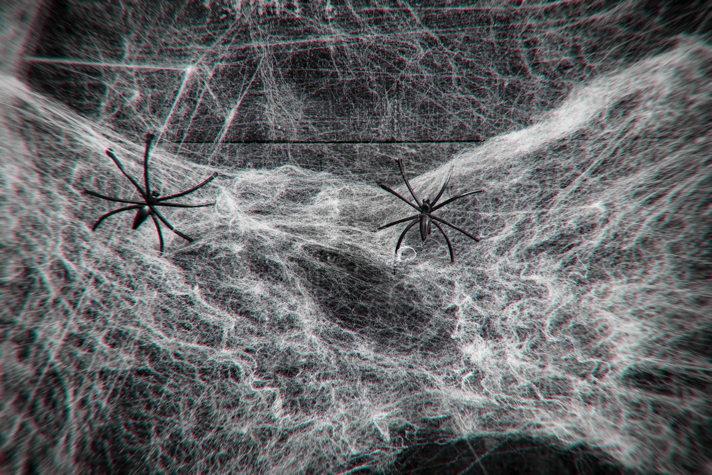 Halloween background horror decoration spider web and black spider on wooden dark background on holiday photo