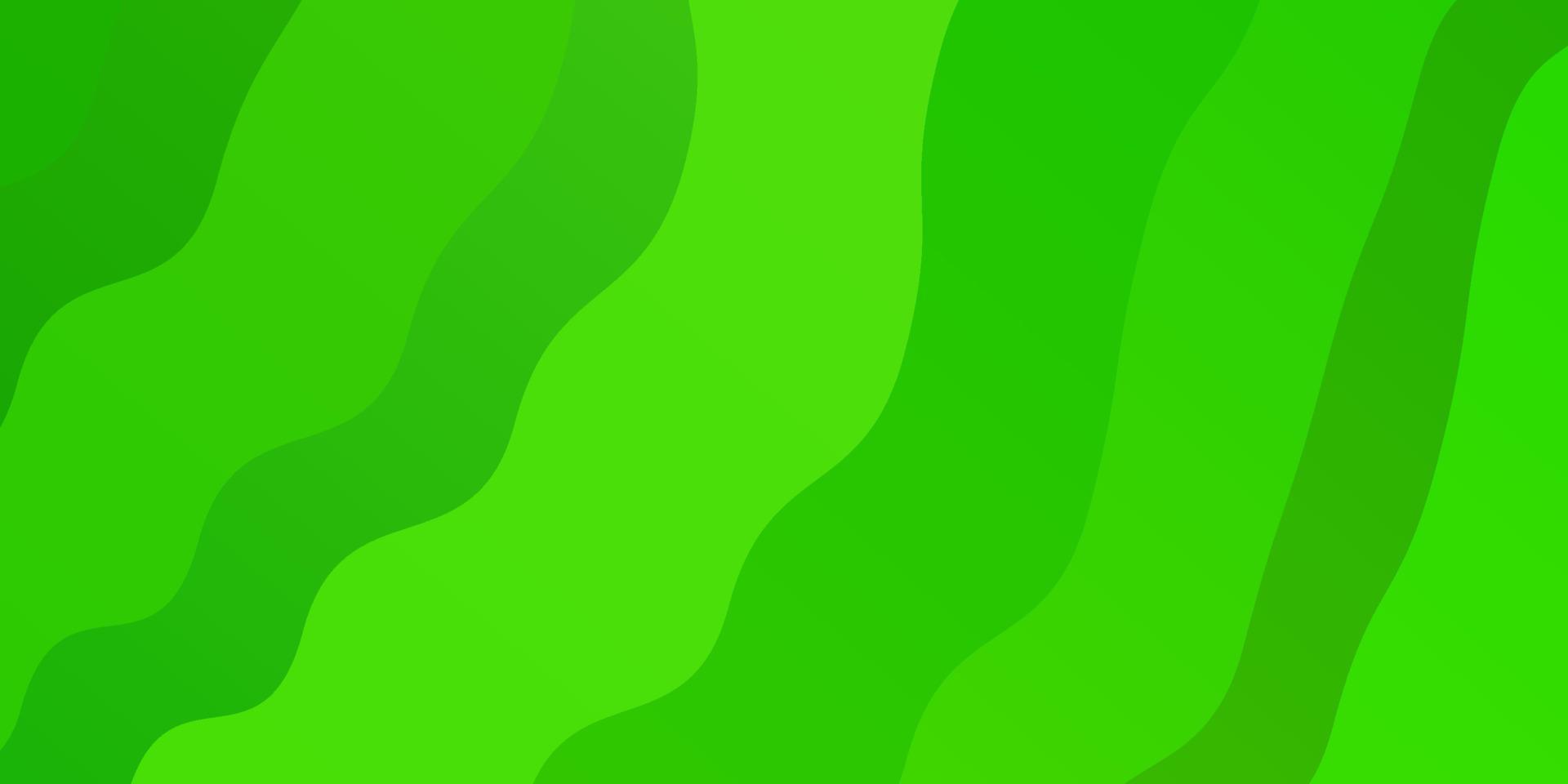 Light Green vector background with bent lines.