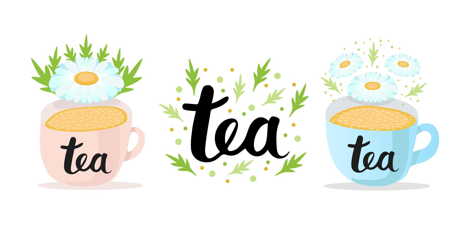 Chamomile set. Bouquet, wreath, tea and chamomile oil isolated on white background. Vector illustration of white daisy flowers in cartoon flat style