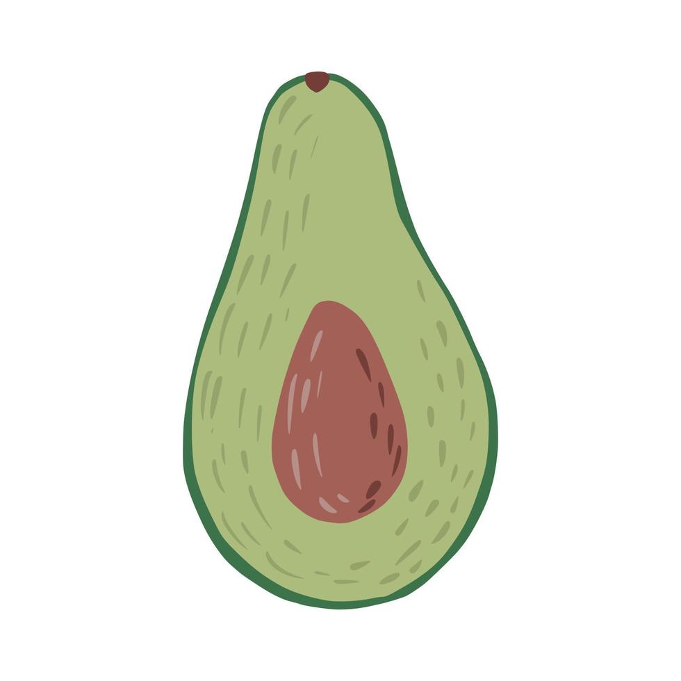 Half avocado with seed isolated on white background. Abstract botanical illustration in doodle. vector