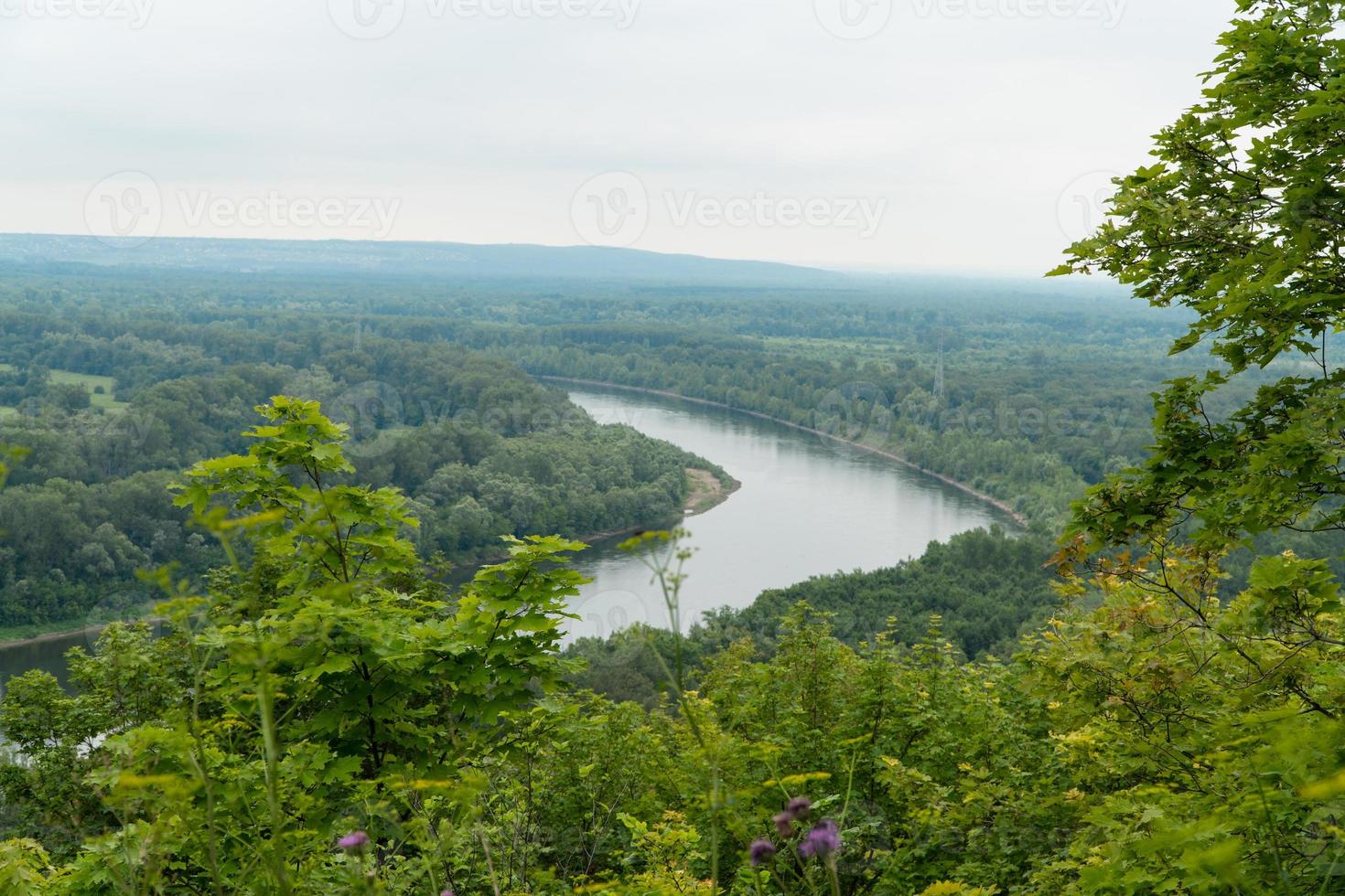 tree on the background of the landscape with the river and forest photo