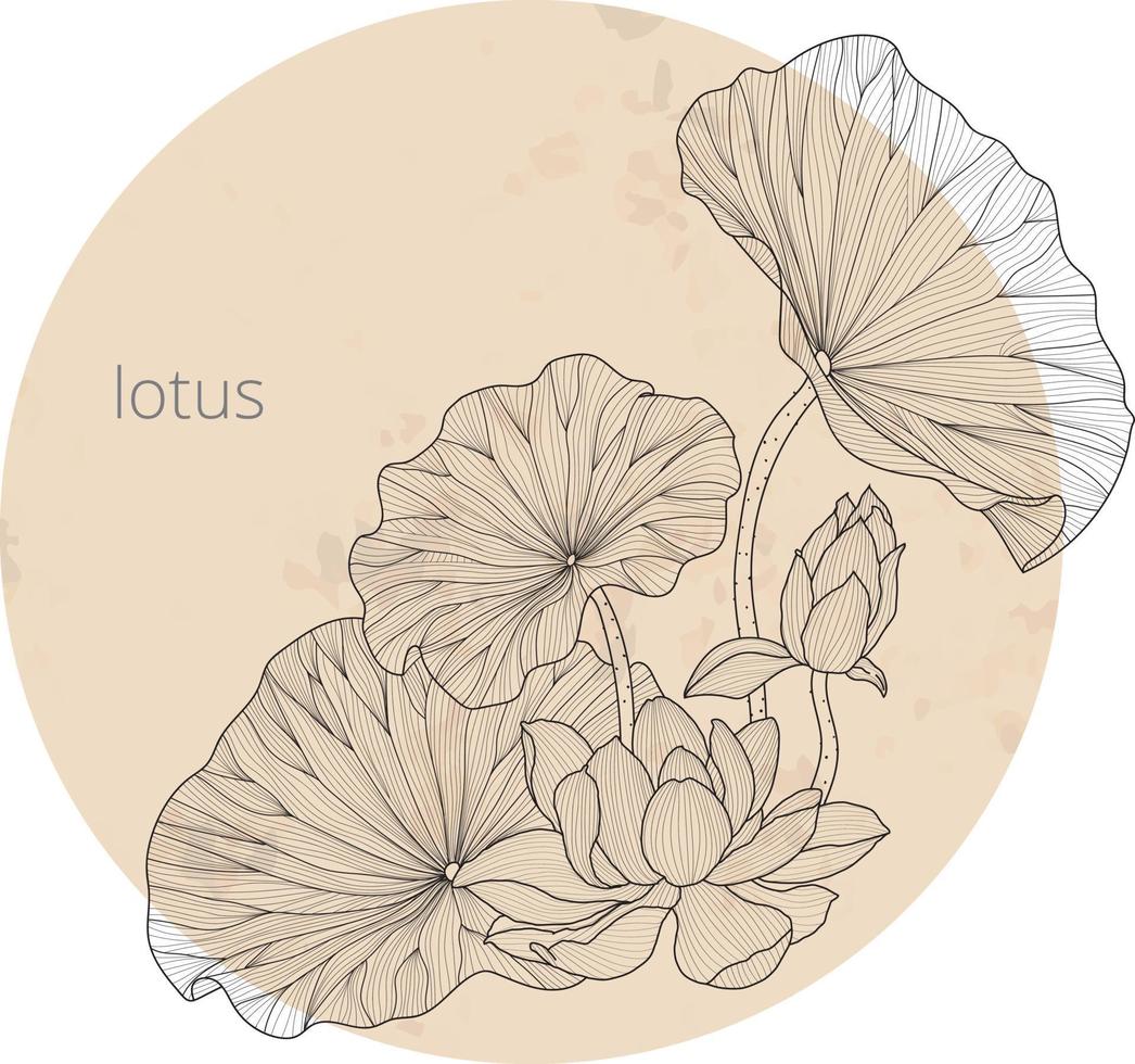 lotus flower leaf line art ornament,Wall decoration, poster, postcard and cover design vector