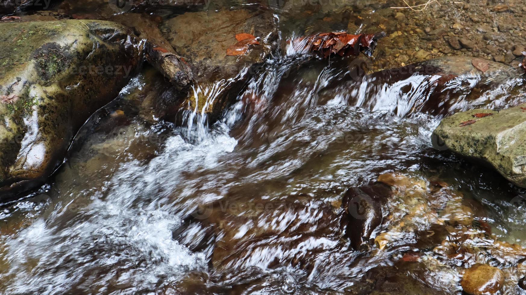 paisaje de un río de montaña en el bosque a principios de otoño y finales de verano. agua en un arroyo natural. bosque hermoso y relajante con un río. río profundo en el bosque de montaña. composición de la naturaleza. foto