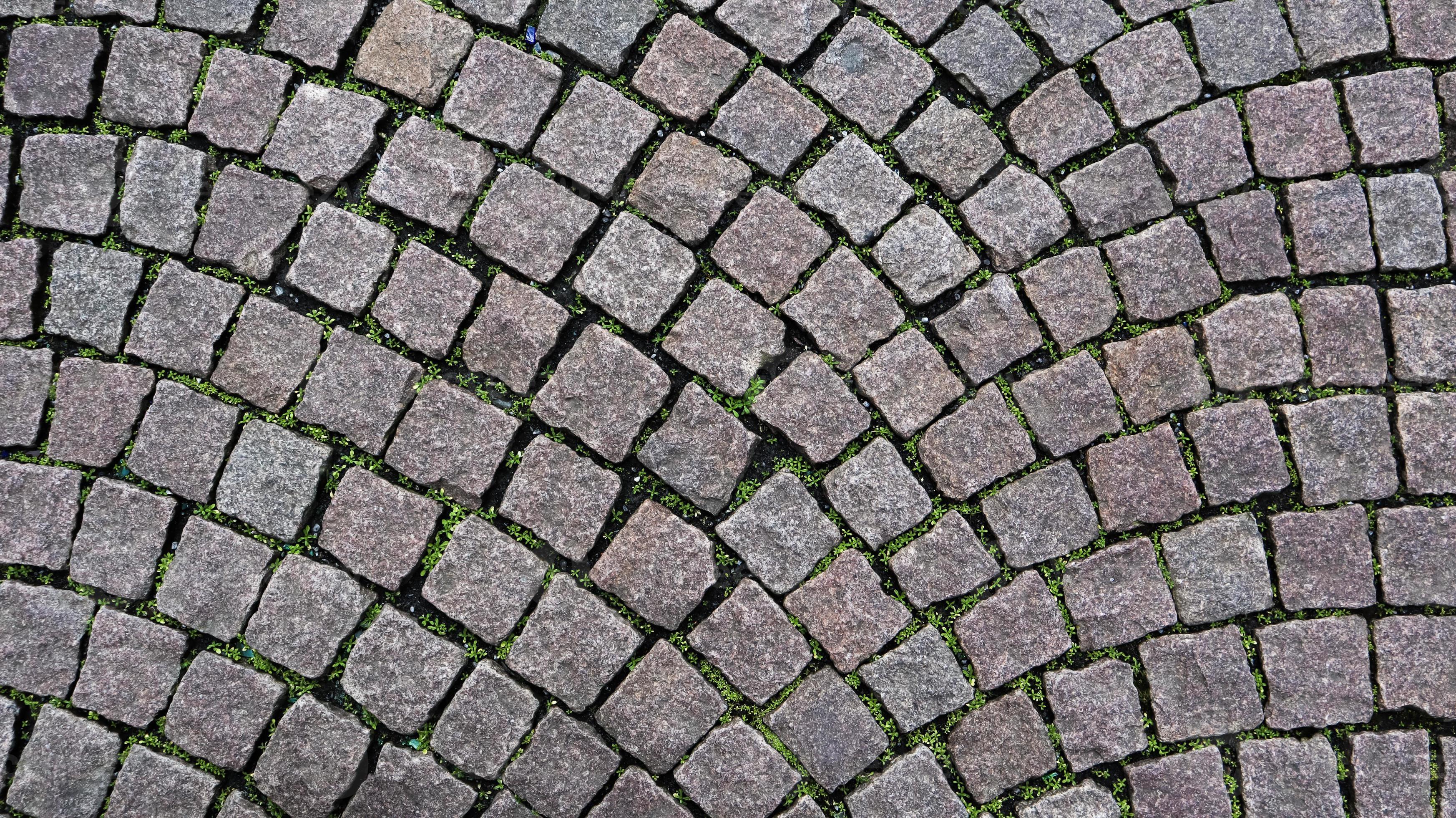 The texture of the paved tile of the street. Concrete paving slabs. Paving  slabs. Grass between the slabs. Texture of paving slabs overgrown with  grass. Background image of a stratum stone 5579577