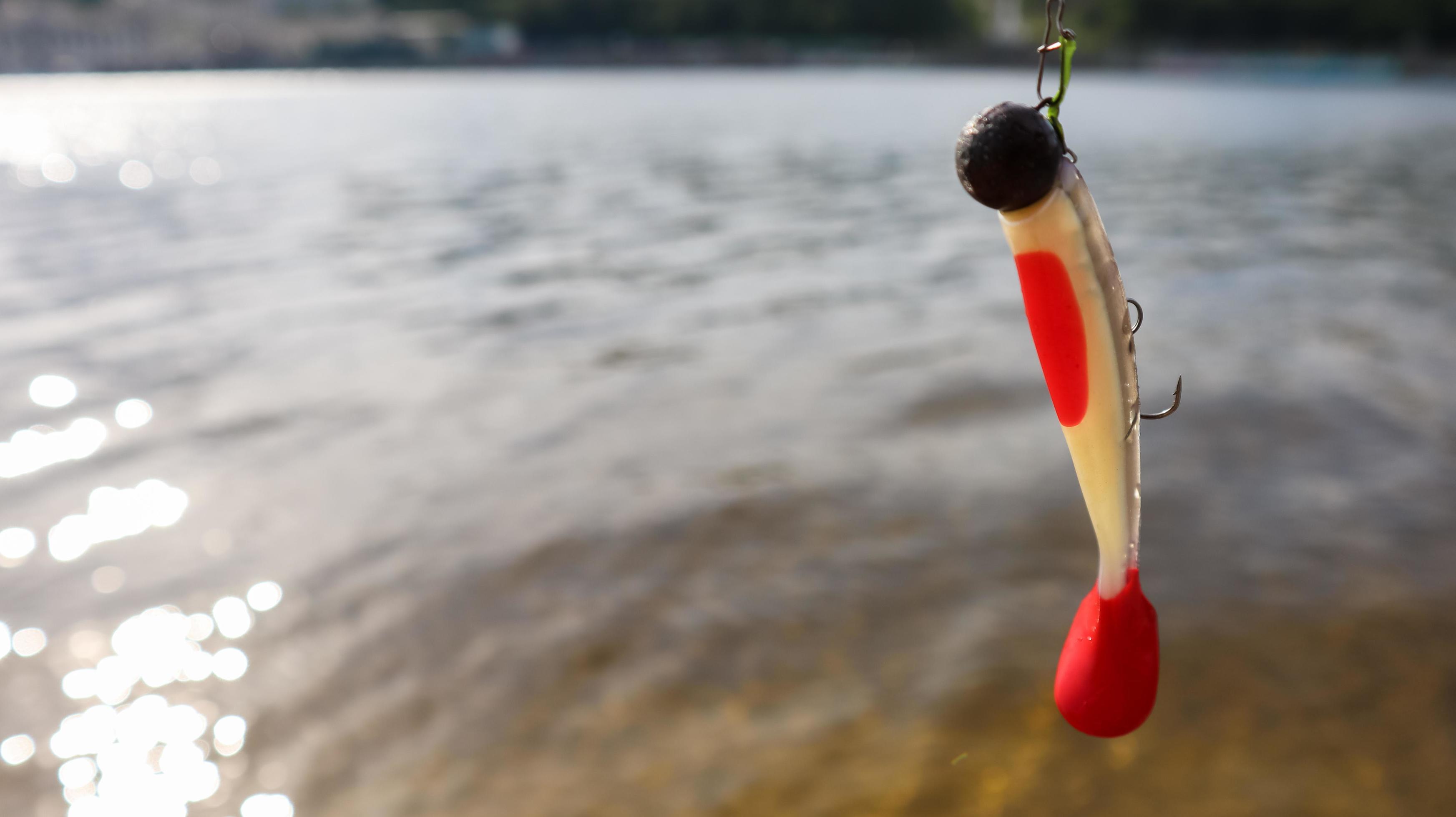 Ukraine, Kiev - June 2, 2020. Silicone fish wobblers hanging on a spinning  rod, against the background of water. fishing lures for predatory fish.  Copy space. Sport and hobbies 5580451 Stock Photo at Vecteezy