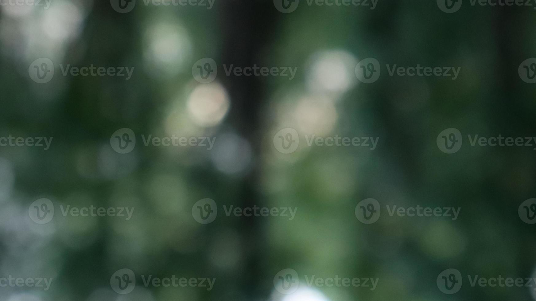 Abstract natural green bokeh background from natural forest. Defocused effect spring design concept. photo