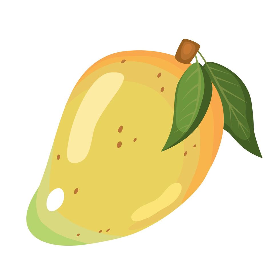 Fresh yellow mango isolated on a white background. Organic fruits. Cartoon style. Vector illustration for any design