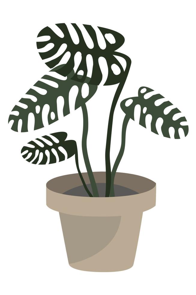 monstera en una olla. planta de la casa en estilo de dibujos animados. ilustración vectorial para embalaje, redes sociales y web vector