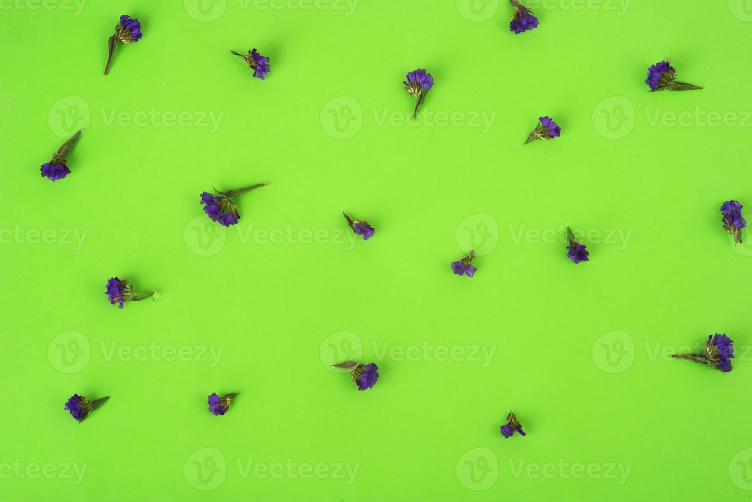 Pequeñas flores secas naturales de colores sobre fondo de seda blanca,  espacio de copia 3828170 Foto de stock en Vecteezy